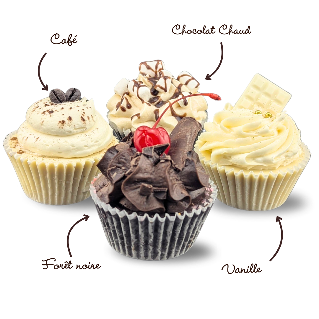 Boite cupcakes Hivernale| ChocoDaisy