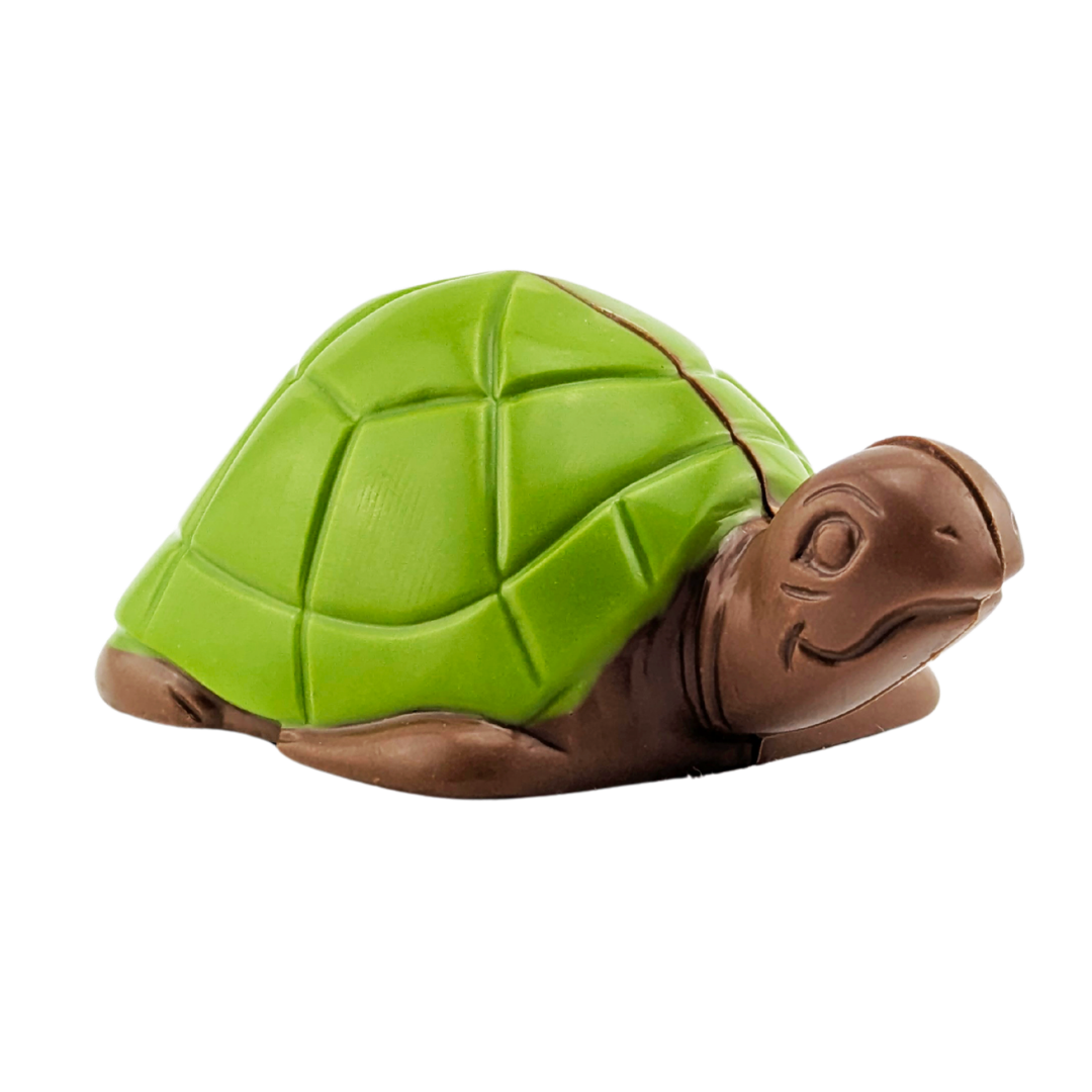 Tortue en chocolat | Choco Daisy
