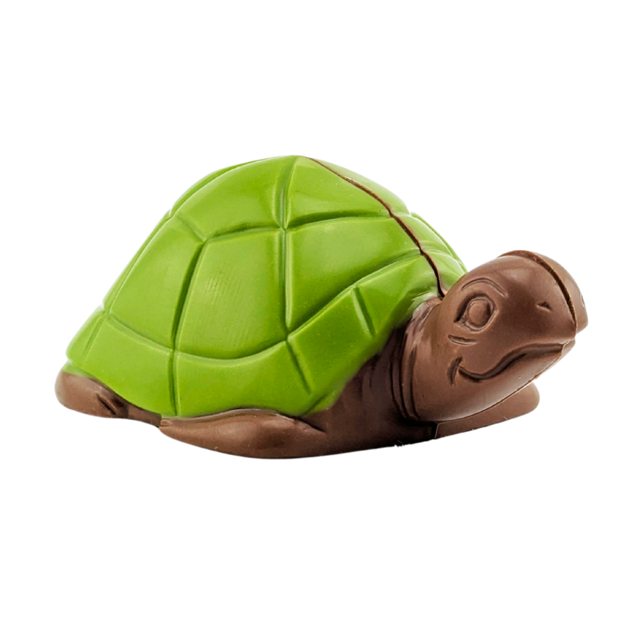Tortue en chocolat | Choco Daisy