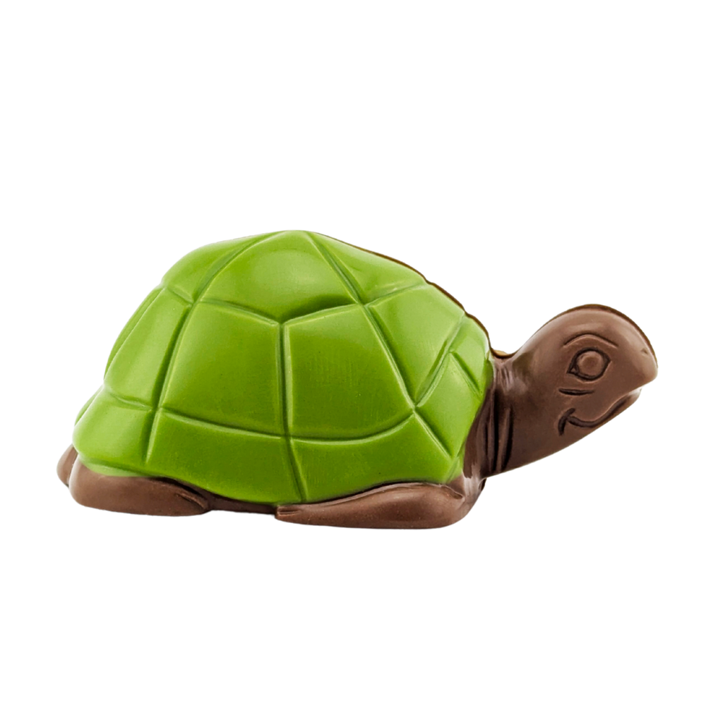 Tortue en chocolat | Choco Daisy