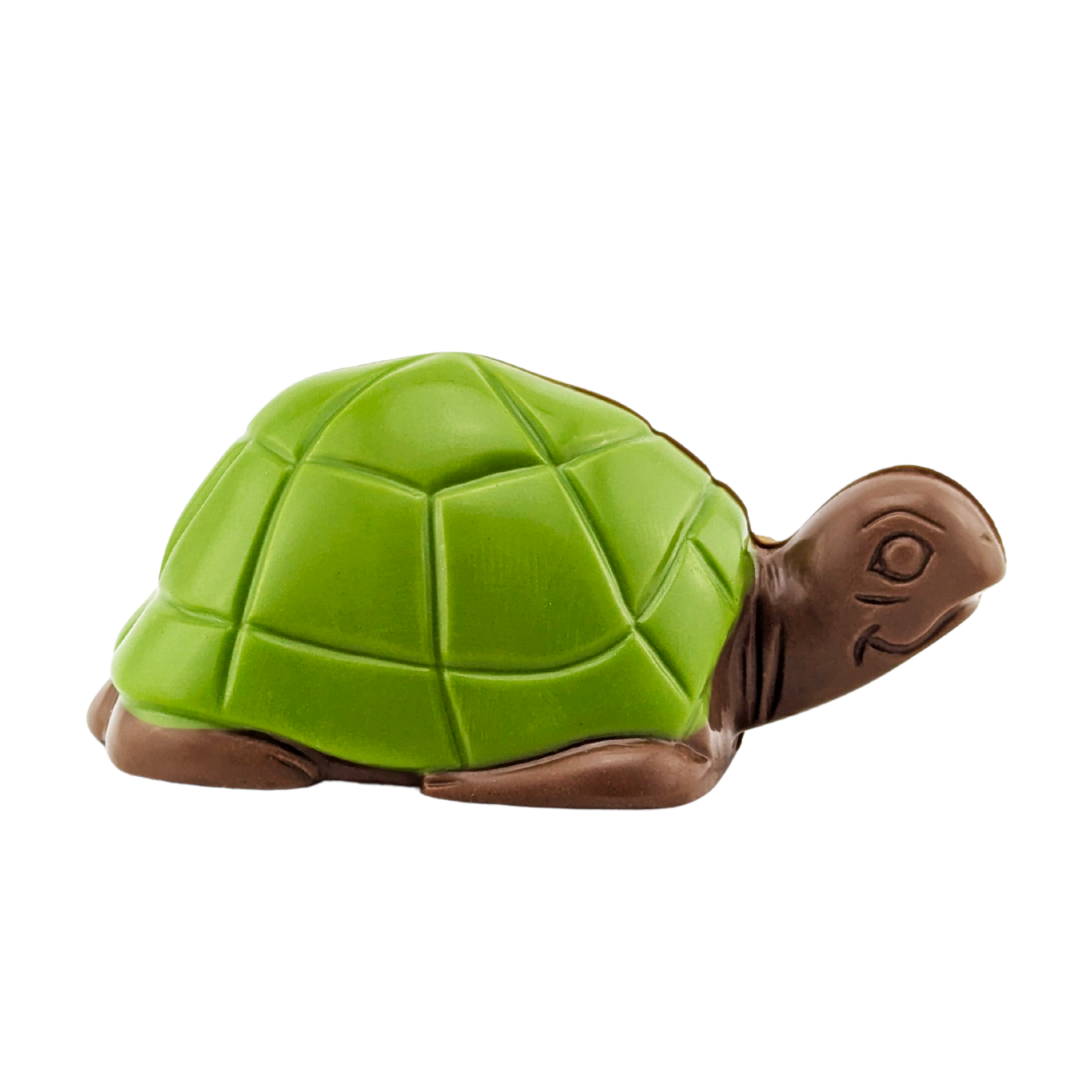 Tortue en chocolat | Choco Daisy