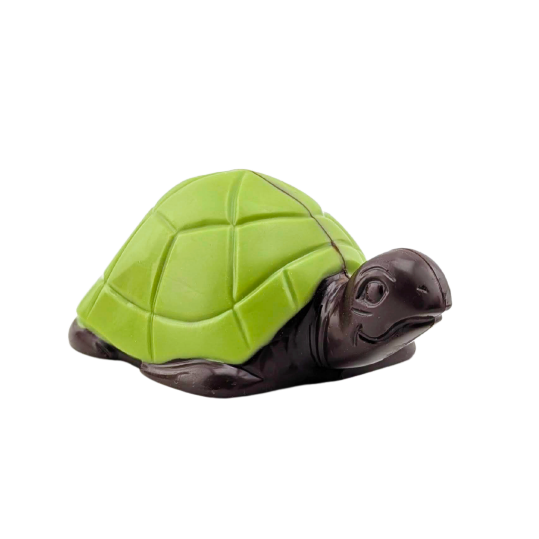 Tortue en chocolat | Choco Daisy