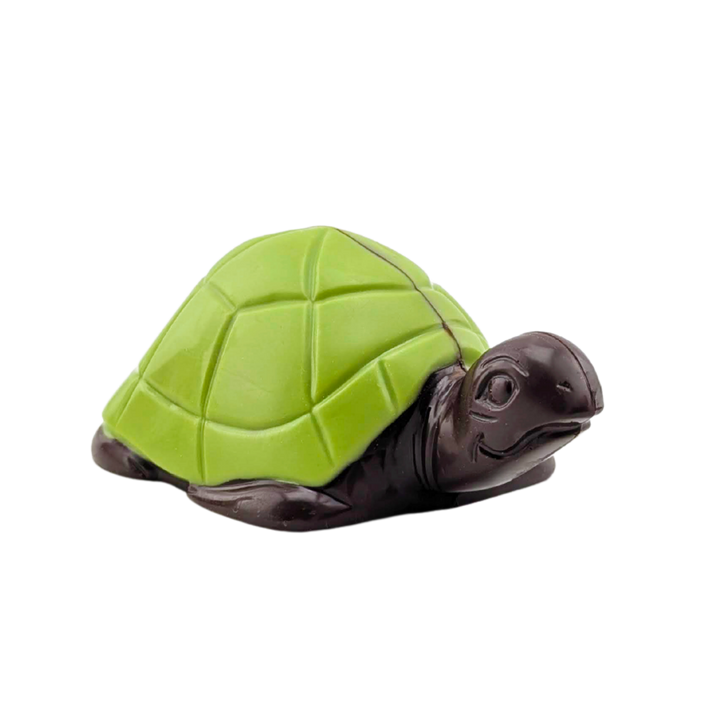 Tortue en chocolat | Choco Daisy