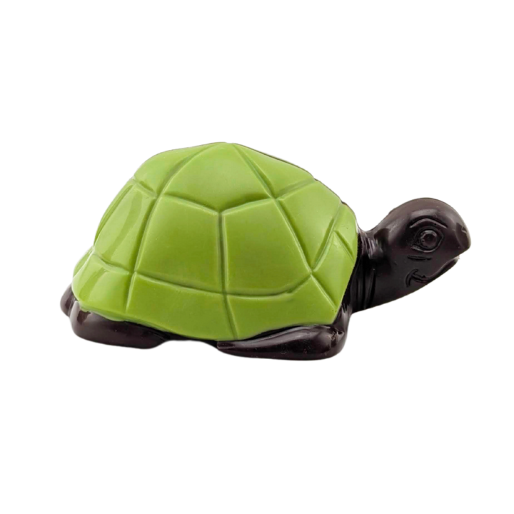 Tortue en chocolat | Choco Daisy