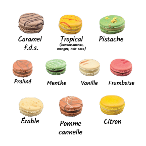 Saveurs macarons | Choco Daisy