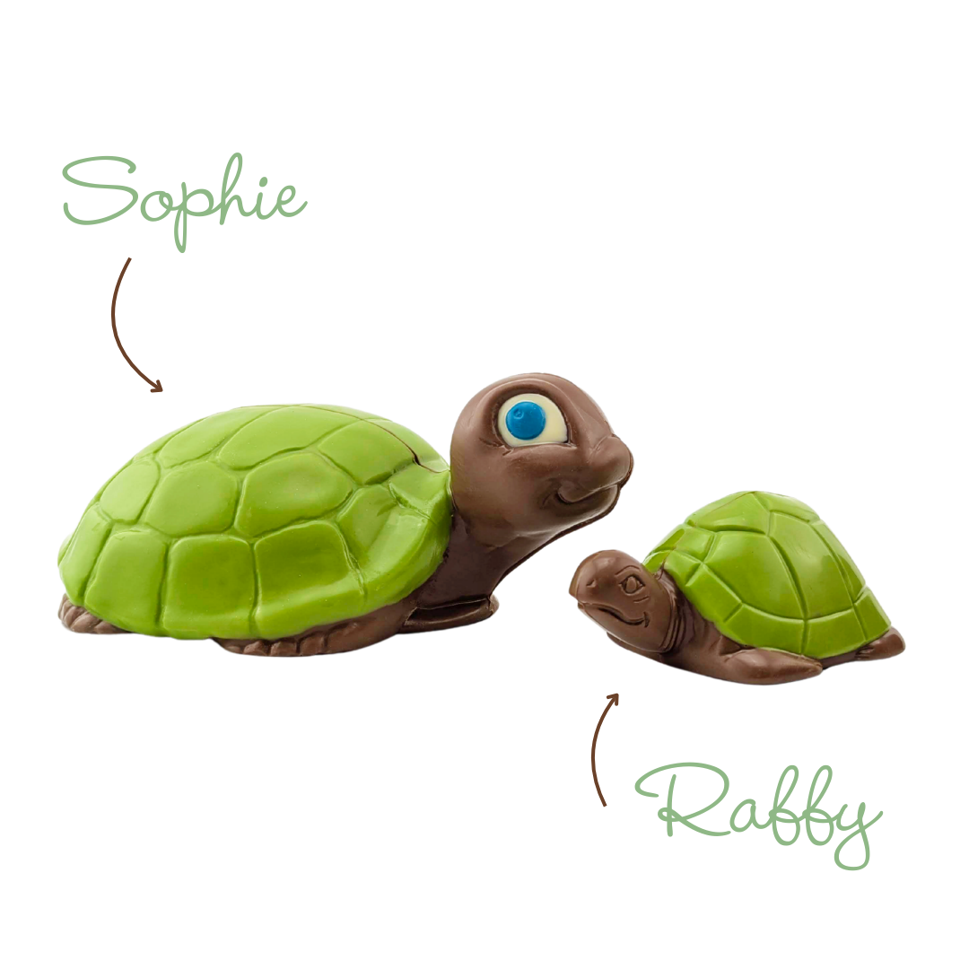 Tortue en chocolat | Choco Daisy