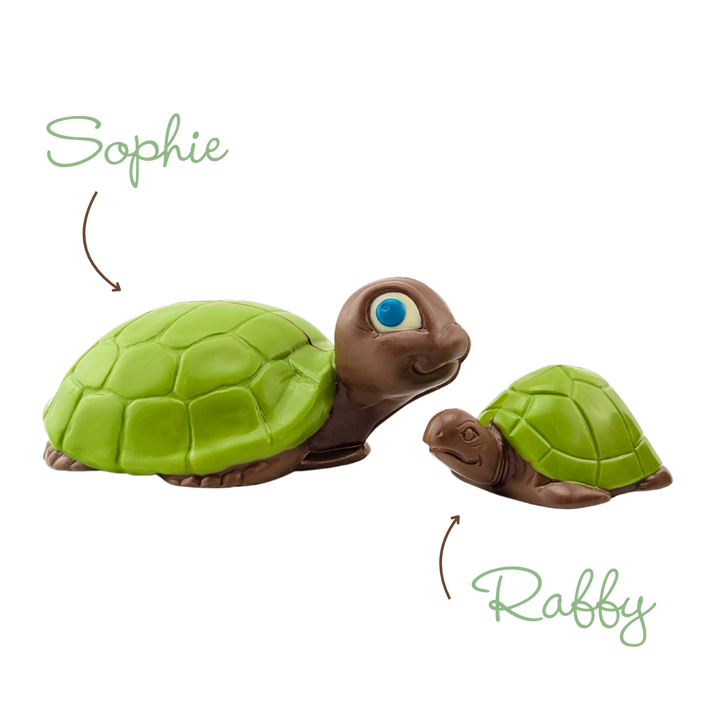 Tortue en chocolat | Choco Daisy